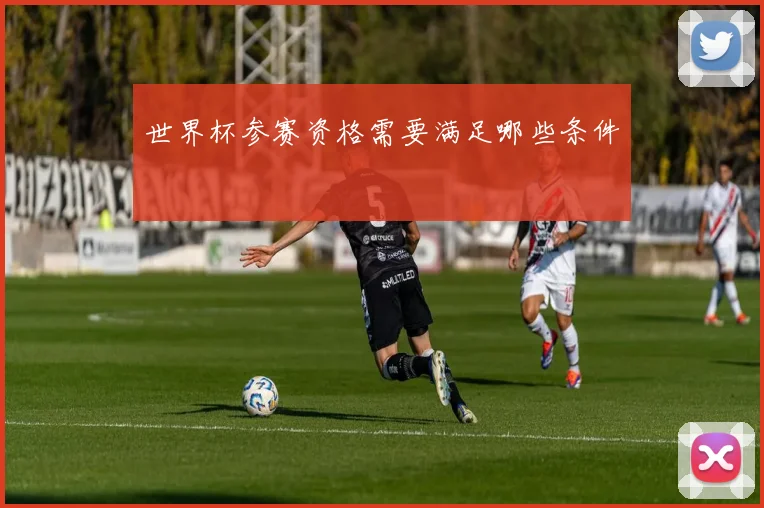 世界杯参赛资格需要满足哪些条件
