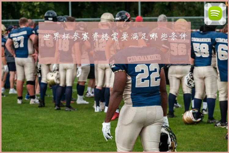 世界杯参赛资格需要满足哪些条件