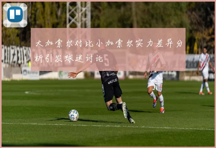 大加索尔对比小加索尔实力差异分析引发球迷讨论