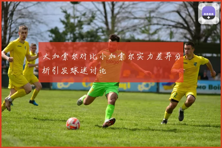大加索尔对比小加索尔实力差异分析引发球迷讨论